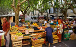 Market day in Uzes